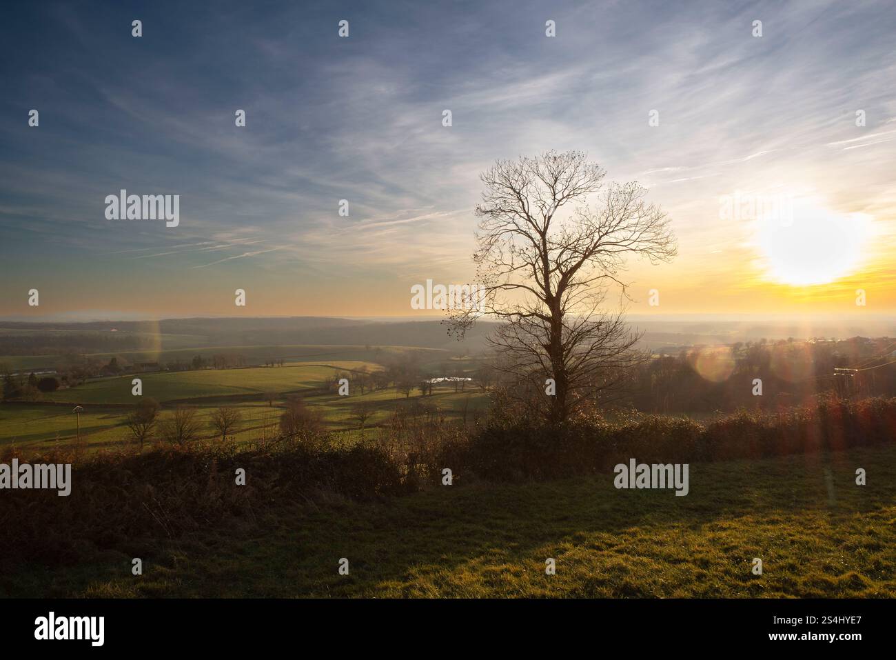 Champ cultivé et ferme dans un paysage bourguignon en France Banque D'Images