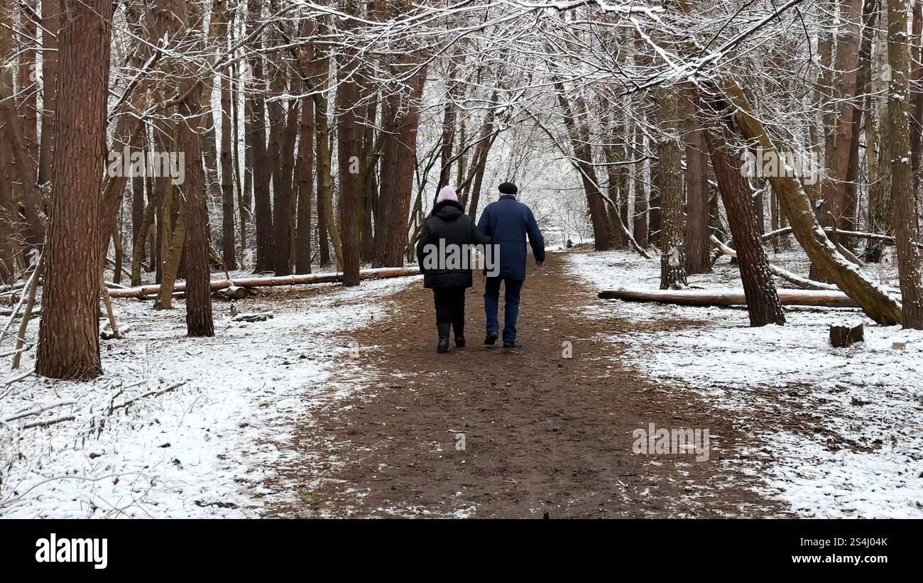 Couple mûr allant sur le chemin enneigé à la forêt de pins d'hiver. Mari senior et femme marchant à travers le sentier dans la forêt de conifères. Ancienne paire de Banque D'Images