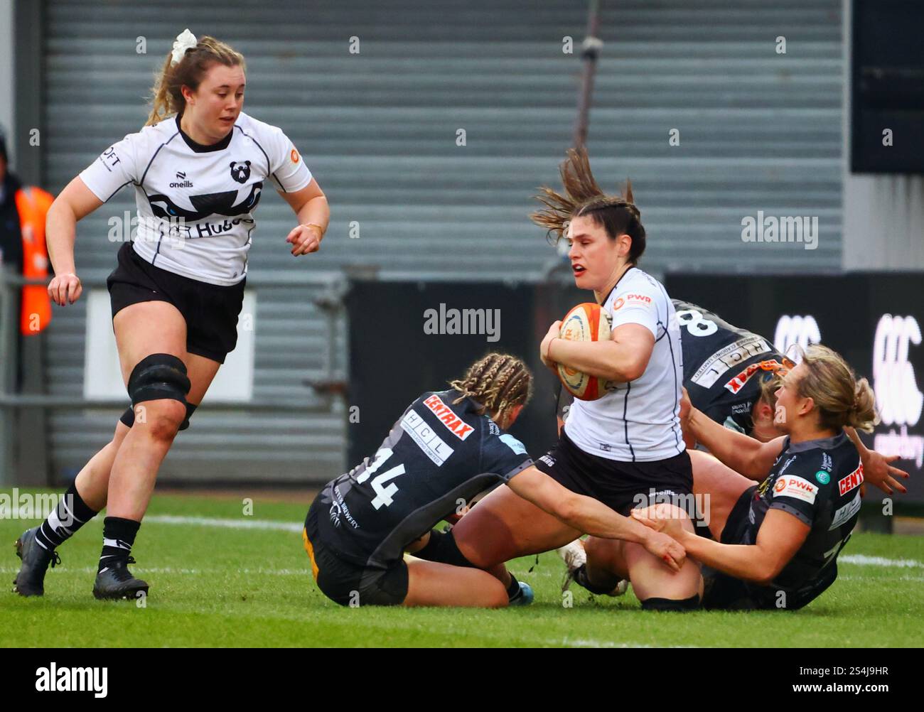 Exeter, Devon, Royaume-Uni. 12 janvier 2025. PWR Professional Women's Rugby Exeter Chiefs contre Bristol Bears à Sandy Park, Exeter, Devon. Sur la photo : Ilona Maher attaqué par les chefs. Crédit : Nidpor/Alamy Live News Banque D'Images