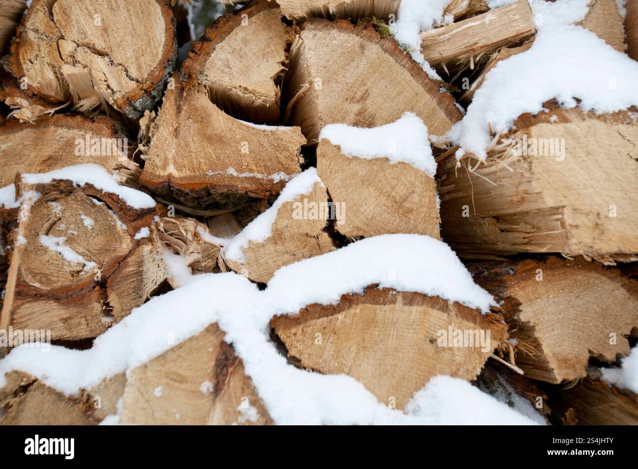 Un tas de bois dans la neige Banque D'Images