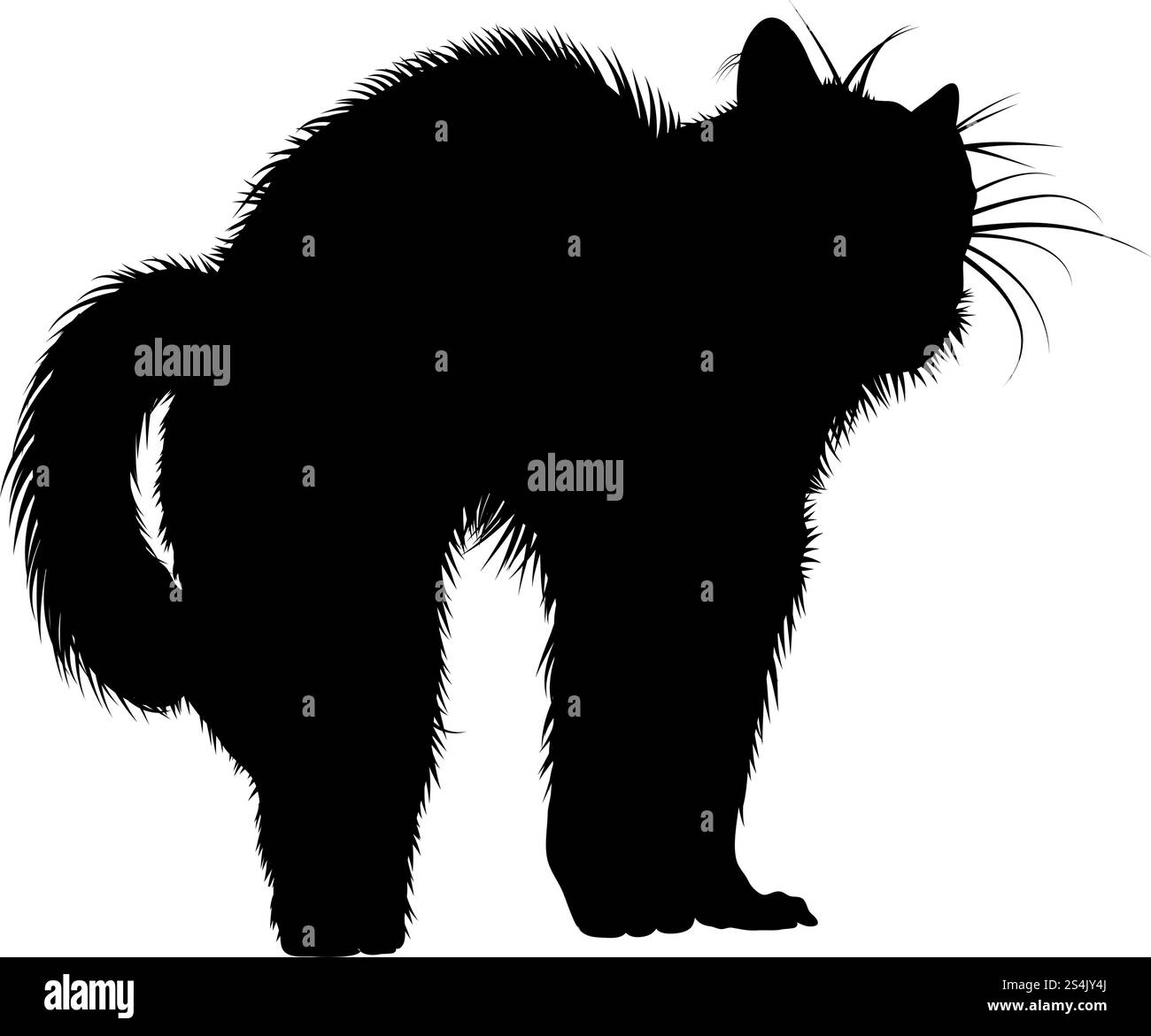 Silhouette de chat. Lisse et claire. Vector Illustration. Illustration de Vecteur