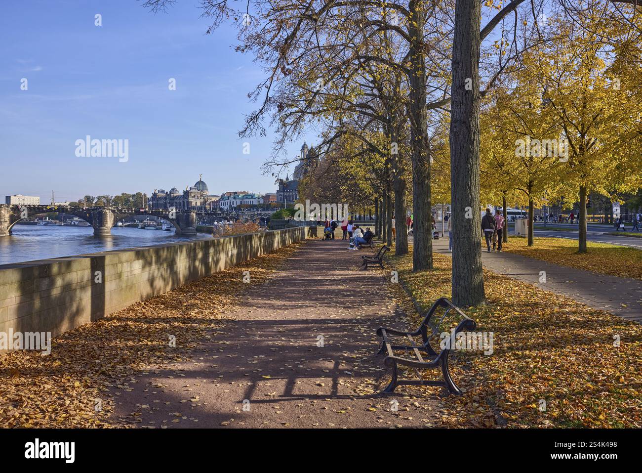 Sentier pédestre, Elbe, rivière, arbres, feuillage automnal inondé de lumière, mur, Pont Auguste, piétons comme accessoires, rive mitoyenne, Dresde, capitale de l'état, Banque D'Images