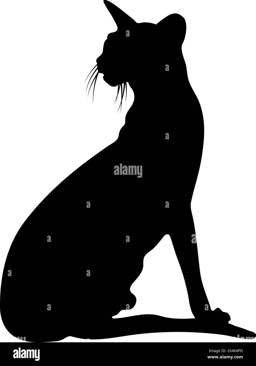 Silhouette de chat. Lisse et claire. Vector Illustration. Illustration de Vecteur