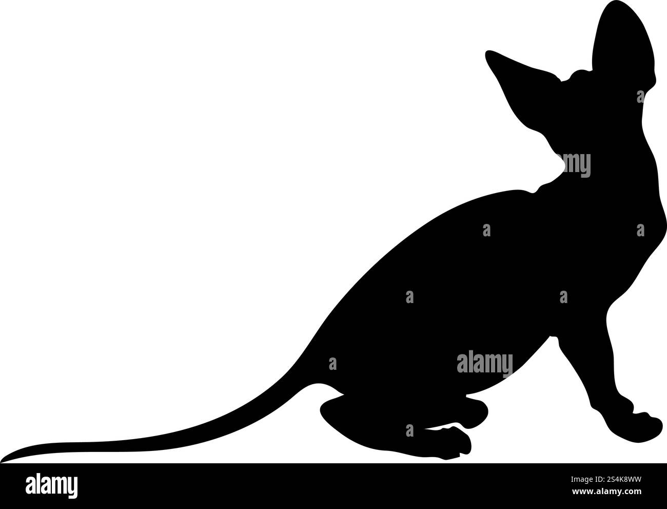 Silhouette de chat. Lisse et claire. Vector Illustration. Illustration de Vecteur