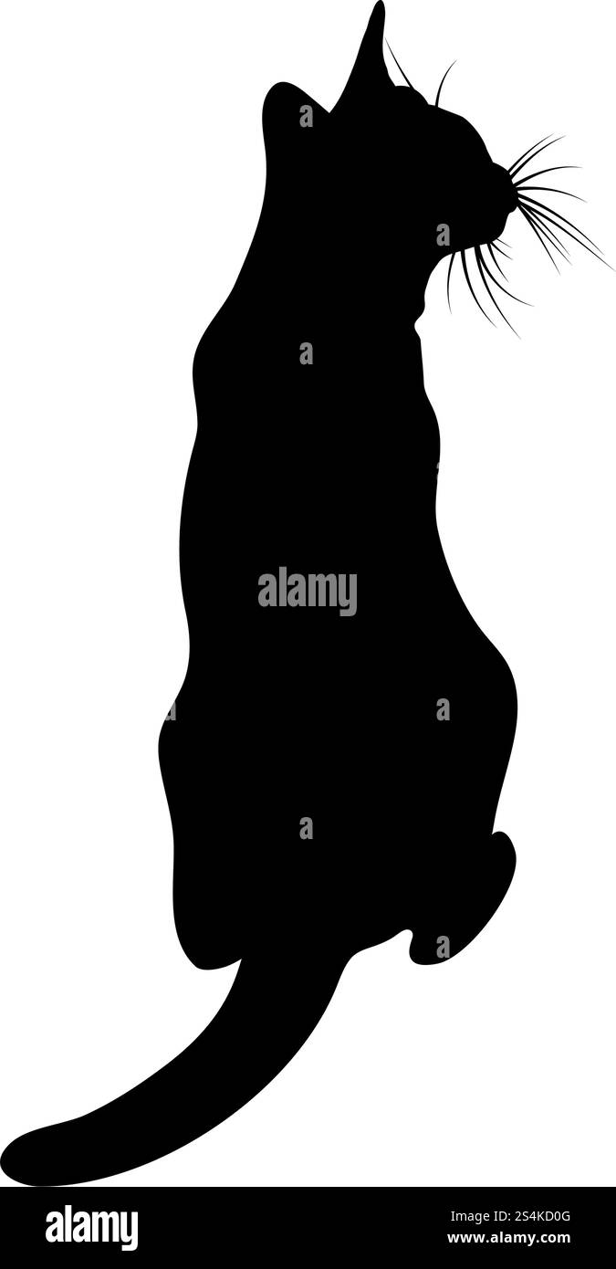 Silhouette de chat. Lisse et claire. Vector Illustration. Illustration de Vecteur