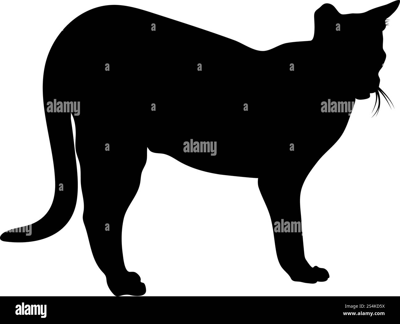Silhouette de chat. Lisse et claire. Vector Illustration. Illustration de Vecteur