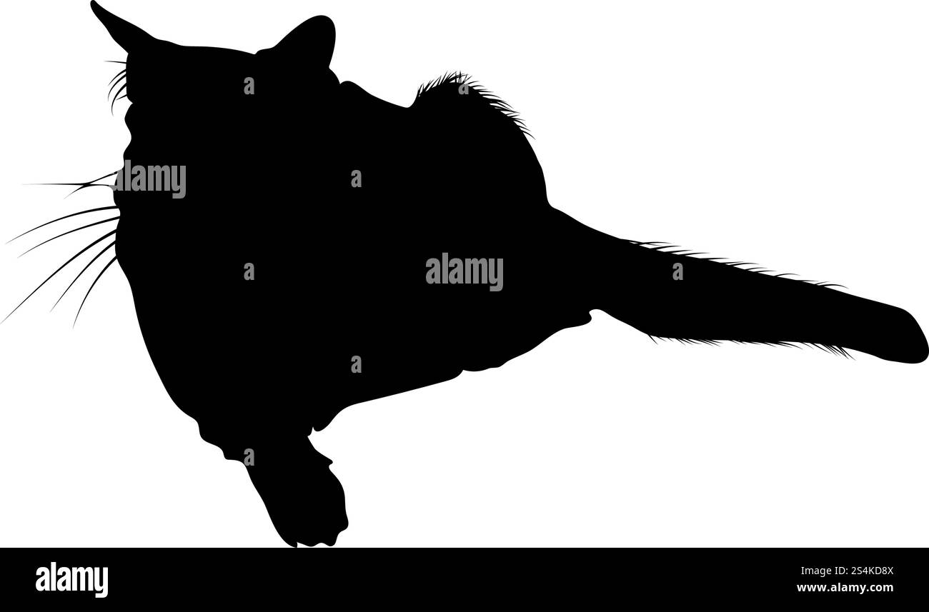 Silhouette de chat. Lisse et claire. Vector Illustration. Illustration de Vecteur