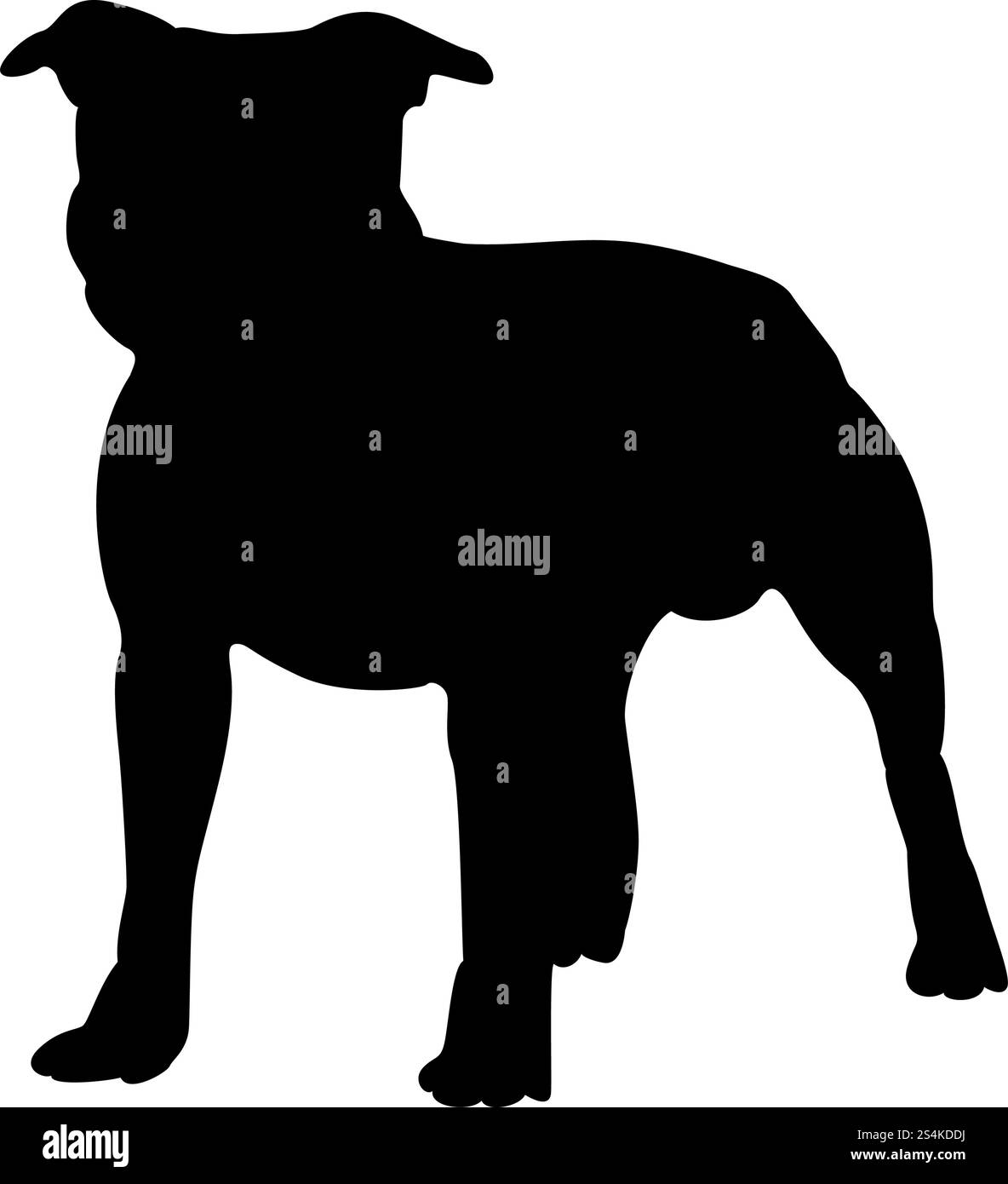 Staffordshire Terrier Dog Silhouette. Illustration Vecteur de douceur. Illustration de Vecteur