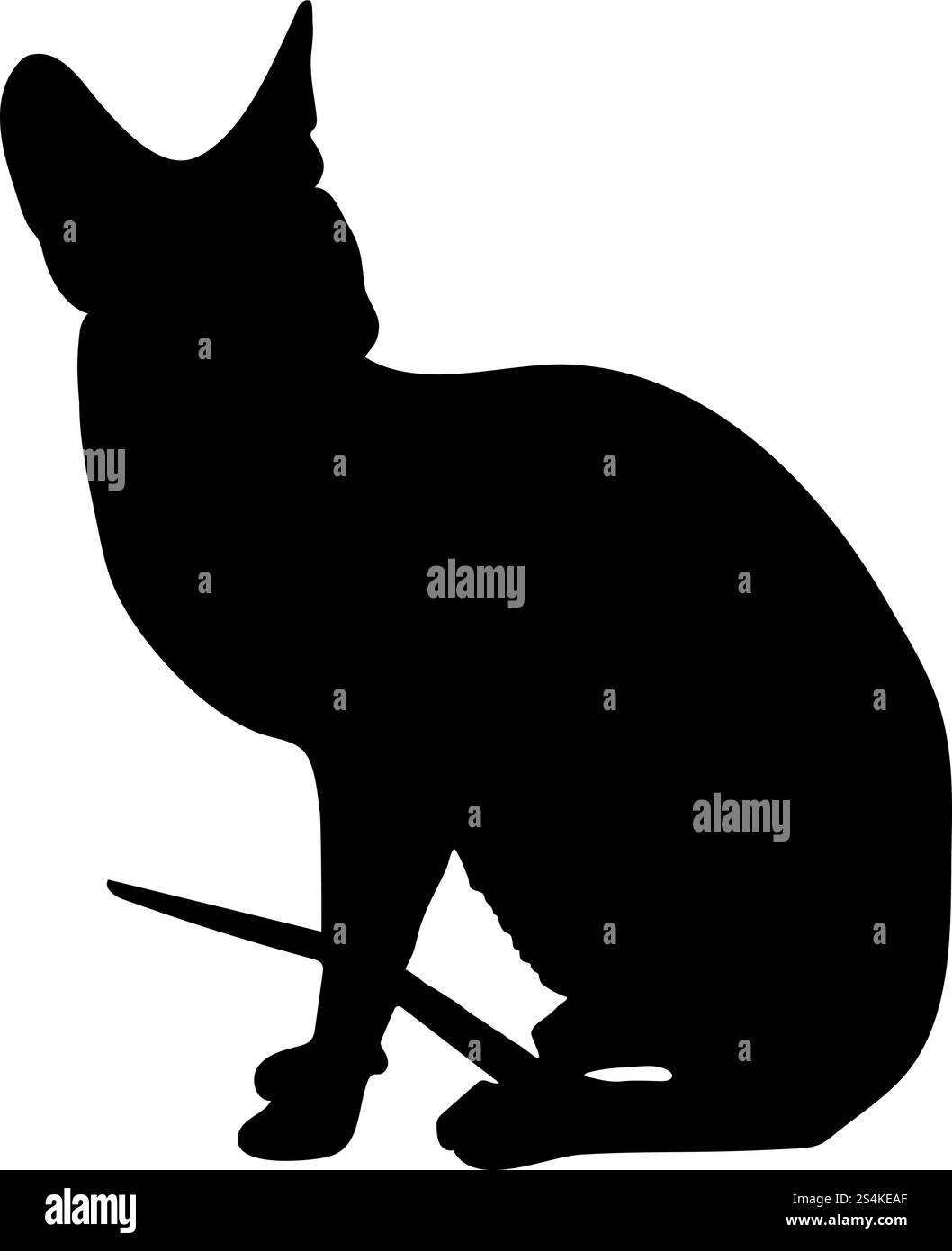Silhouette de chat. Lisse et claire. Vector Illustration. Illustration de Vecteur