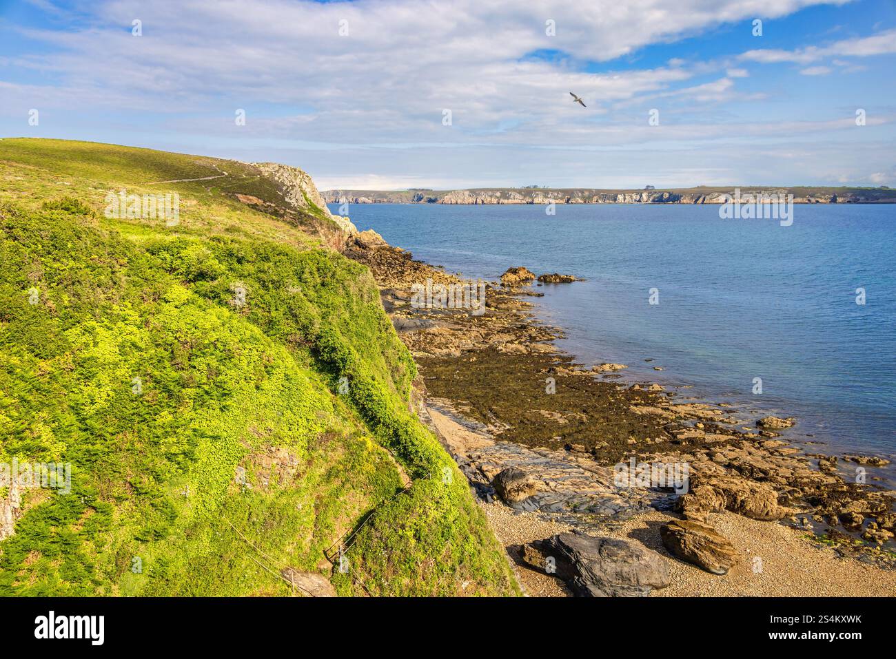 Côte rocheuse avec des falaises verdoyantes au bord de la mer une journée d'été ensoleillée Banque D'Images