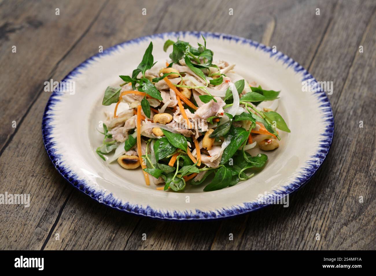 Salade de poulet au bélier rau (coriandre vietnamienne), cuisine vietnamienne Banque D'Images