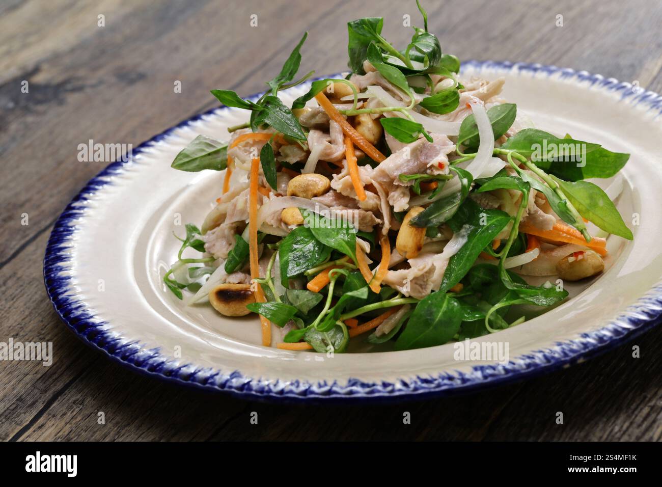 Salade de poulet au bélier rau (coriandre vietnamienne), cuisine vietnamienne Banque D'Images