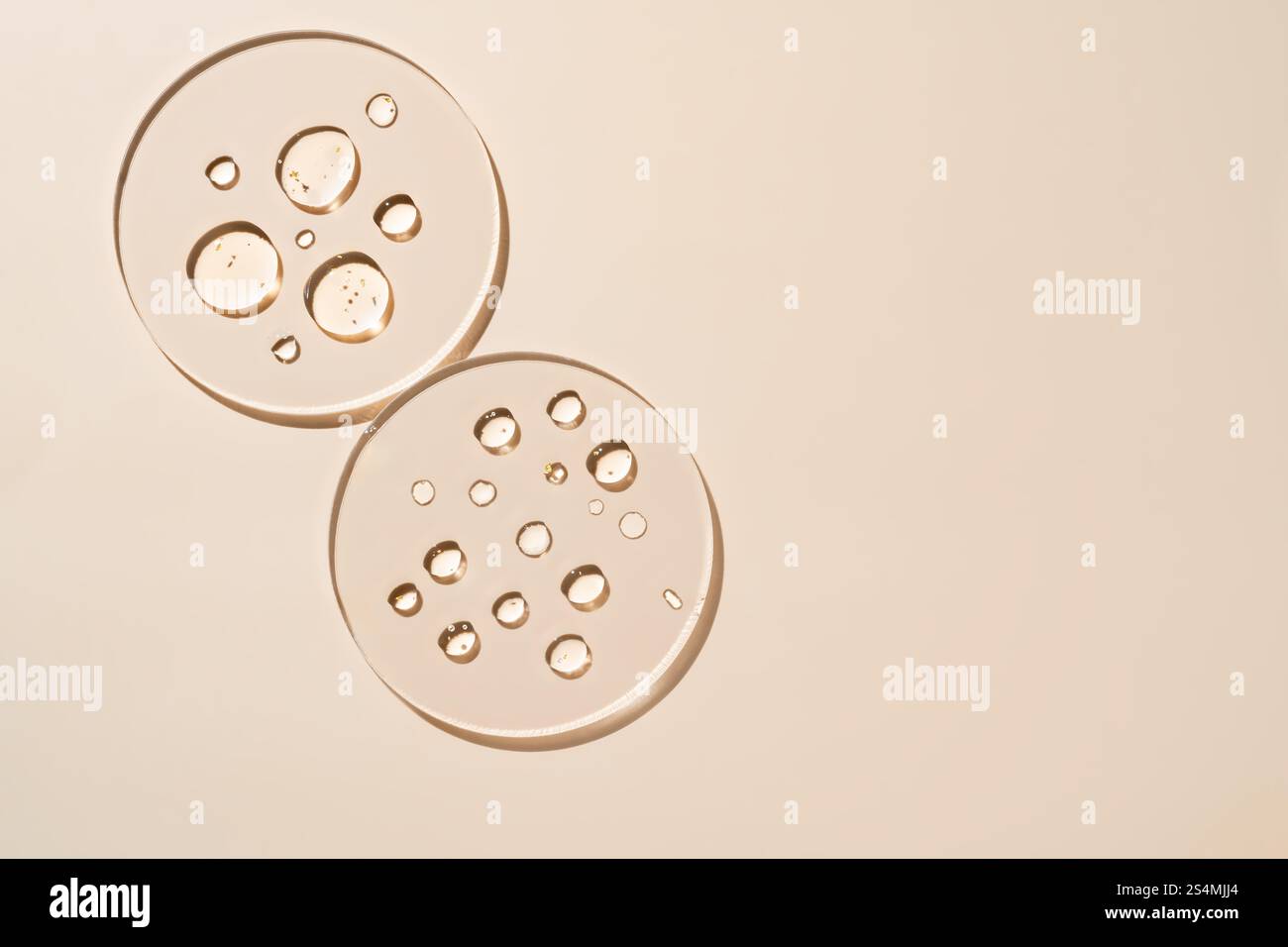 Des gouttes de liquide clair sur des boîtes de Petri en verre créent un motif géométrique minimaliste sur un fond beige L'esthétique sereine et scientifique évoque un Banque D'Images
