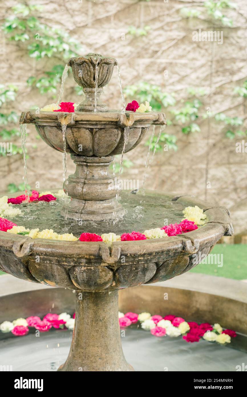 Fontaine en pierre rustique avec fleurs flottantes dans un jardin serein. Banque D'Images