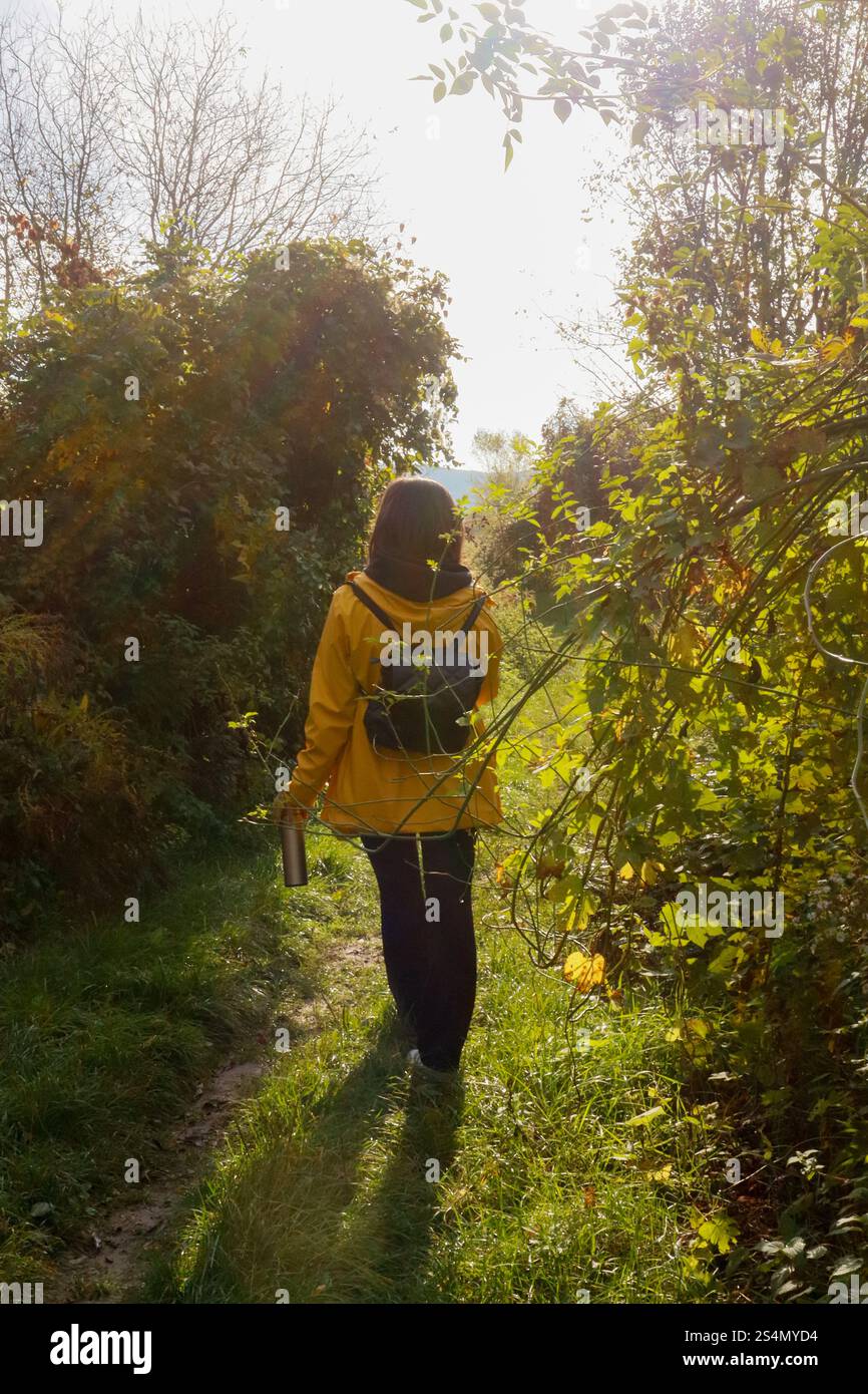 Randonnée en forêt avec thé et veste de pluie jaune Banque D'Images