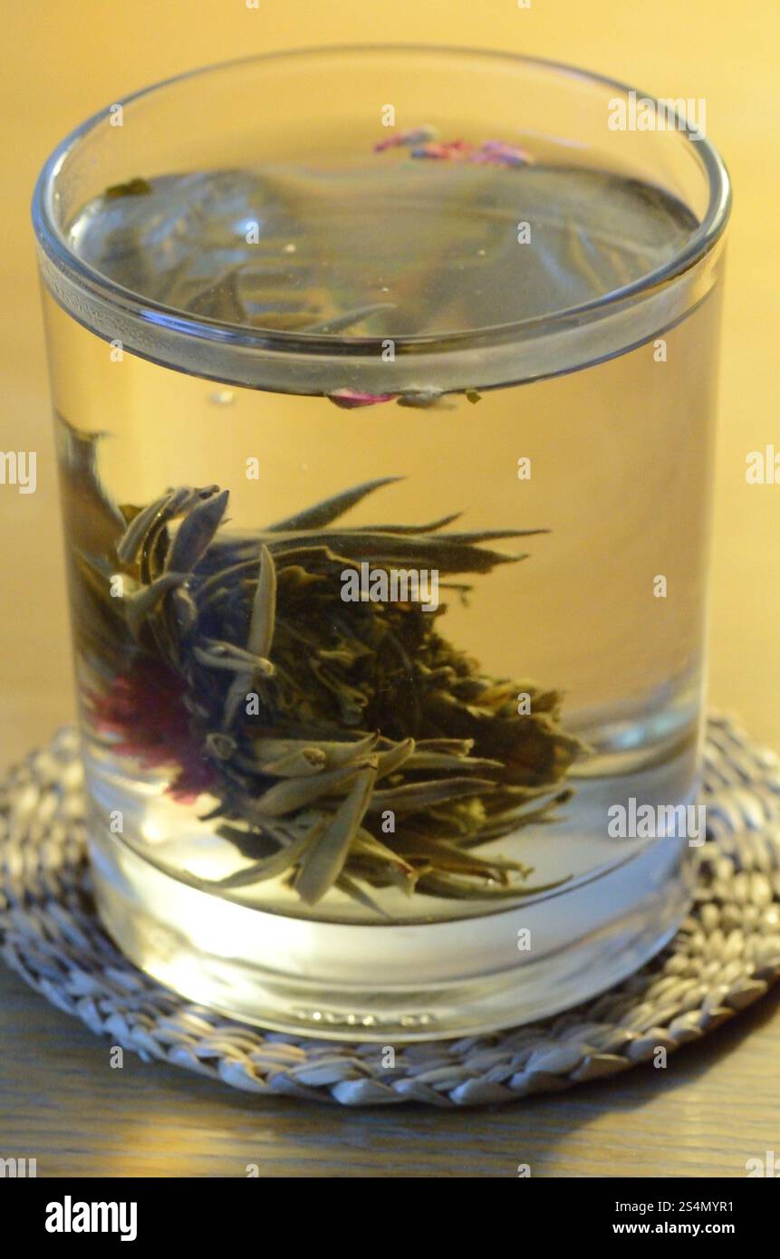 Un peu de thé vert étant extrait dans un verre d'eau chaude Banque D'Images