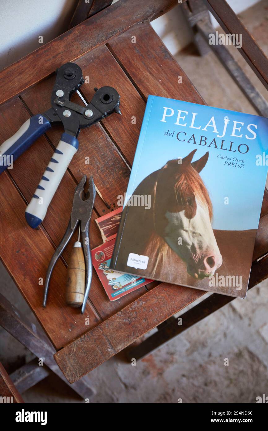 Outils de travail à l'Estancia El Ombu, San Antonio de Areco, province de Buenos Aires, Argentine. Banque D'Images