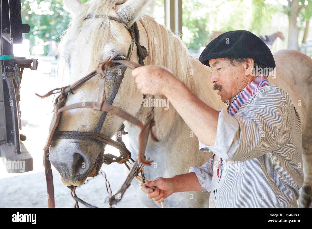 Un gaucho avec son cheval à l'Estancia El Ombu, San Antonio de Areco, province de Buenos Aires, Argentine. Banque D'Images