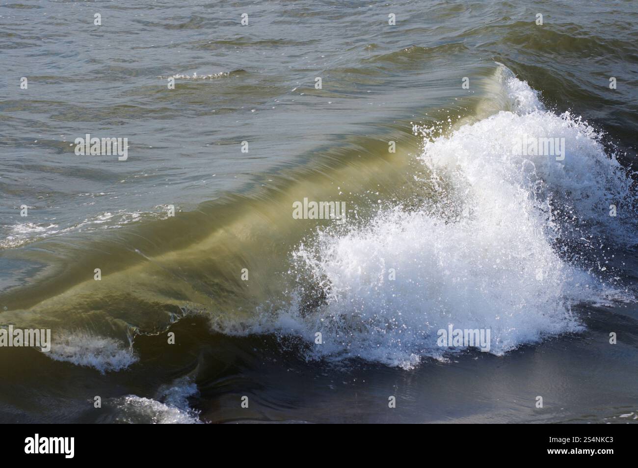 Grande vague de surf mer littoral sur pause Banque D'Images