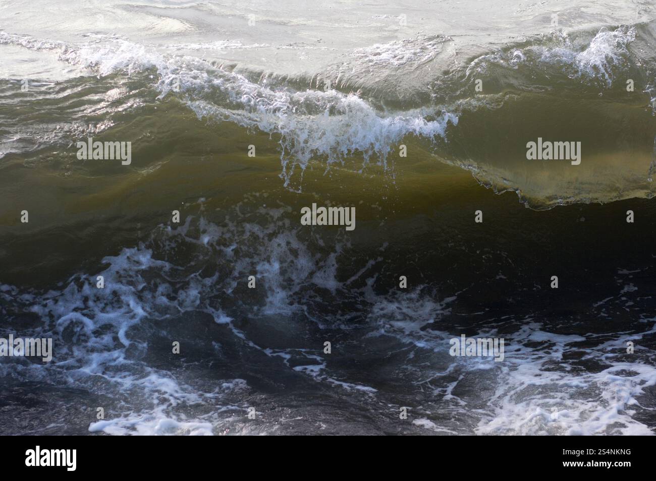 Grande vague de surf mer littoral sur pause Banque D'Images