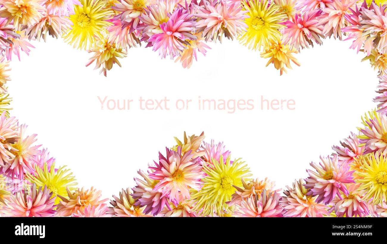 Rose-jaune fleurs Dahlia set moule deux formes de coeur cadre (isolé sur blanc, larges proportions latérales de moniteurs) Banque D'Images