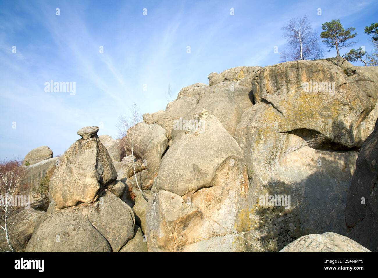 Arbres sur rochers dessus sur fond de ciel bleu ( Skeli Dovbusha', Ivano-Frankovsk Region, Ukraine)' Banque D'Images