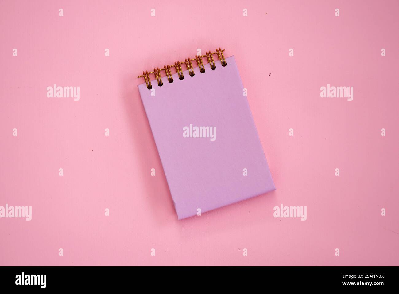 Un carnet en spirale vierge rose sur fond rose, livre maquette. Banque D'Images