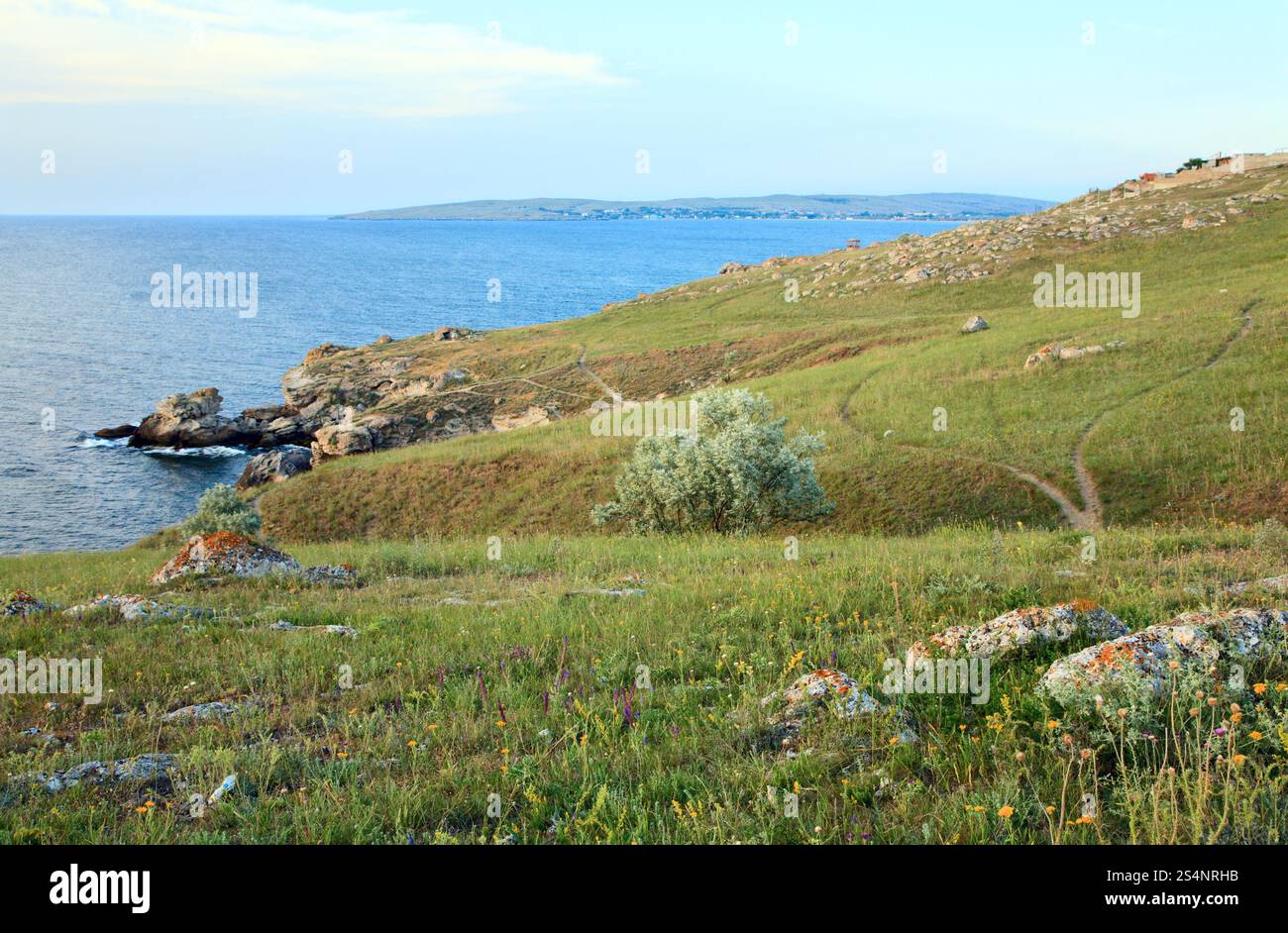 Route de terre sur les prairies près de la côte de la mer d'été Banque D'Images