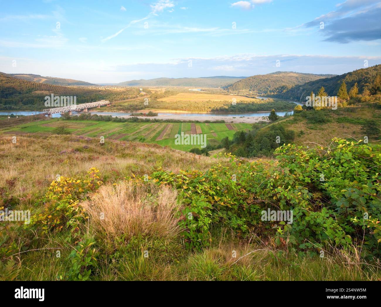 Vue sur la vallée de la rivière né d'été (Oblast de Lviv, en Ukraine). Banque D'Images
