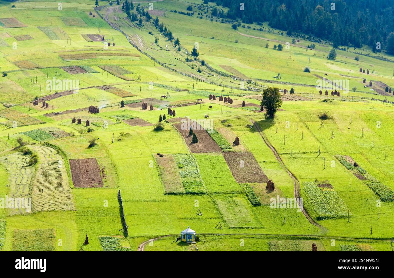 Périphérie de beau petit village de montagne à flanc de montagne (Carpates. Ukraine) Banque D'Images