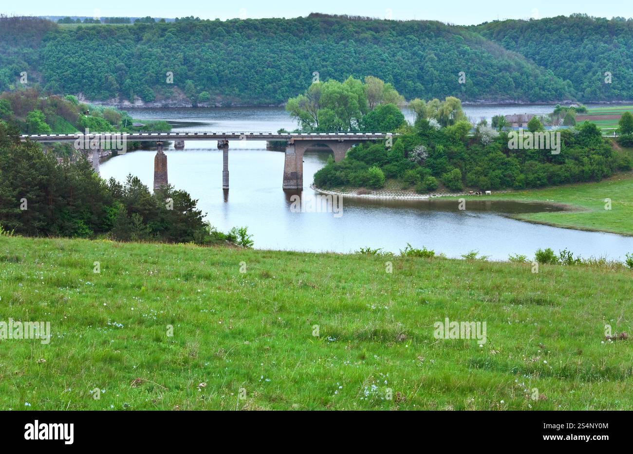 Pays du printemps Paysage avec rivière (Carpathian, Ukraine). Banque D'Images