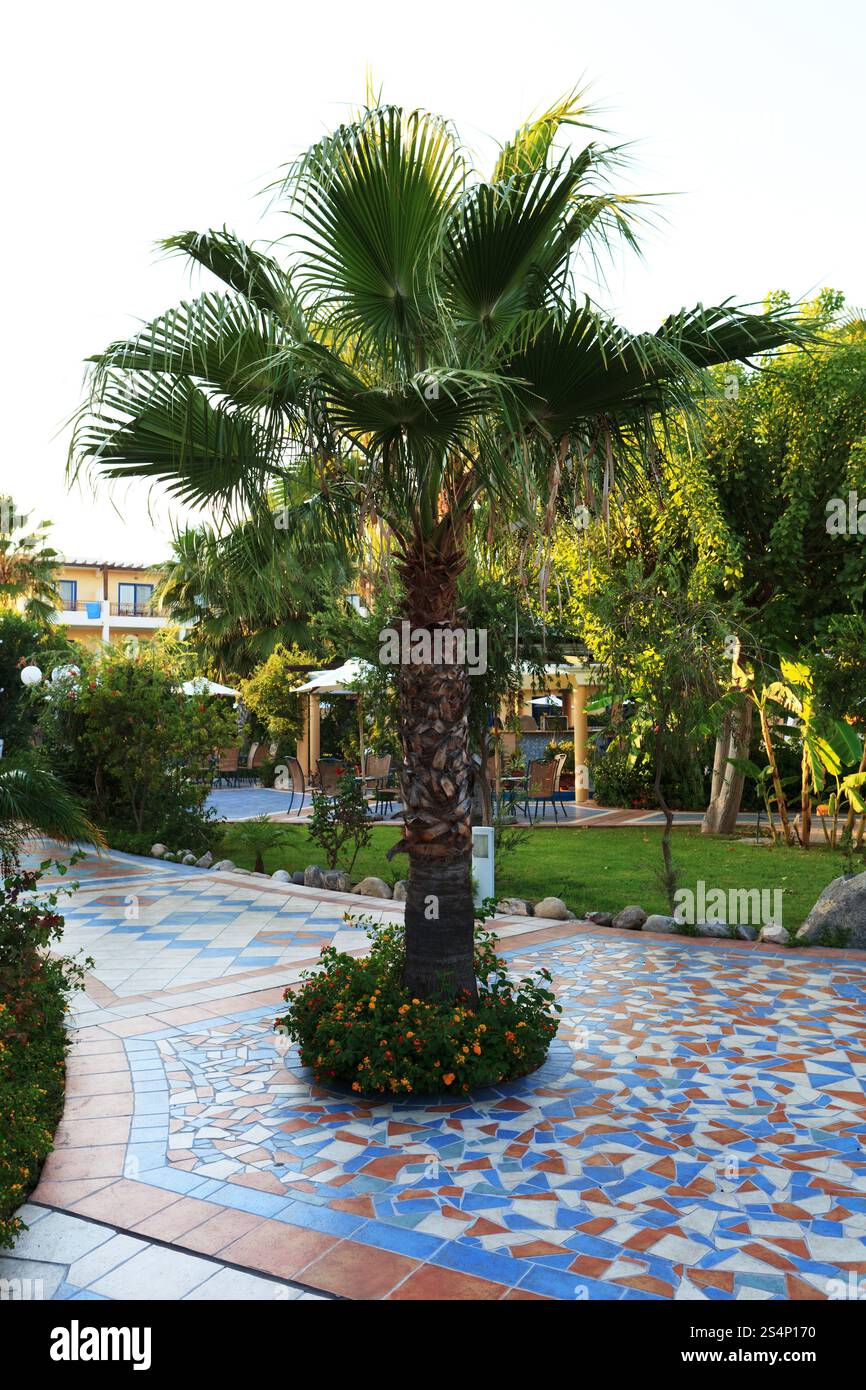 Palm sur un sol de mosaïque à l'hôtel. Rhodes. Grèce Banque D'Images