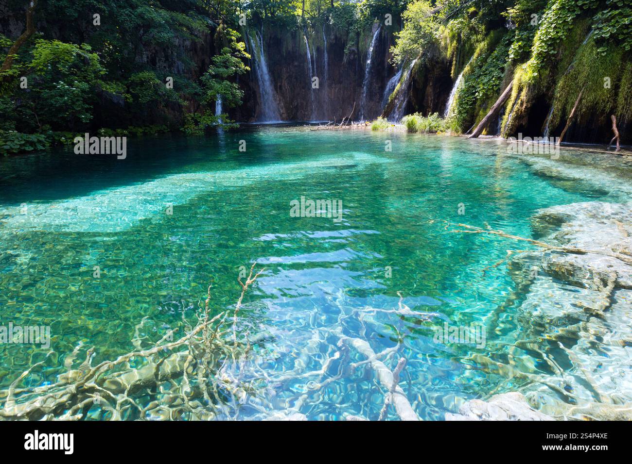 Magnifique lac avec la mer claire-vert d'eau et cascade derrière (le parc national des Lacs de Plitvice, Croatie) Banque D'Images