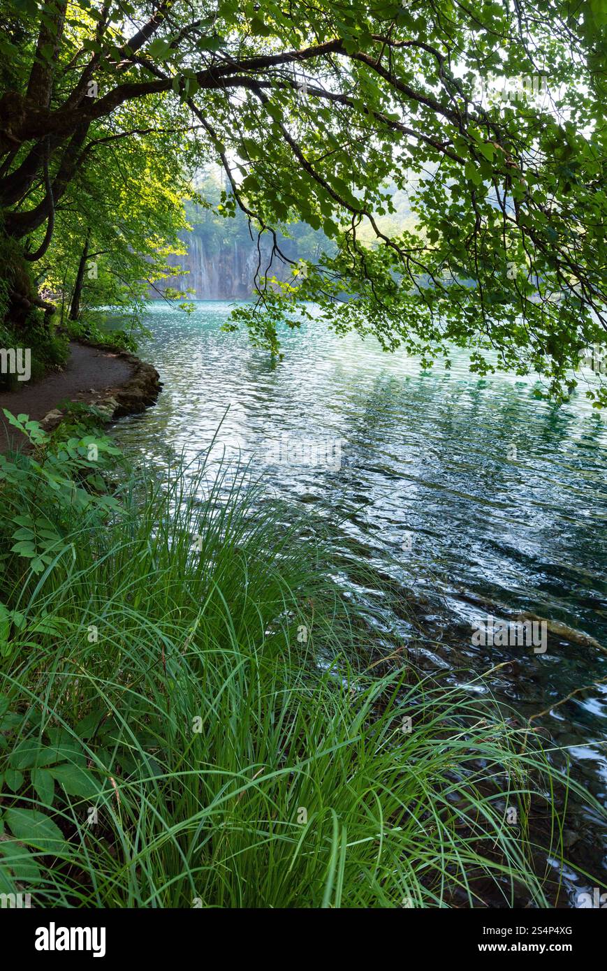 Petites cascades et propre lac à travers les branches des arbres dans le parc national des Lacs de Plitvice (Croatie) Banque D'Images