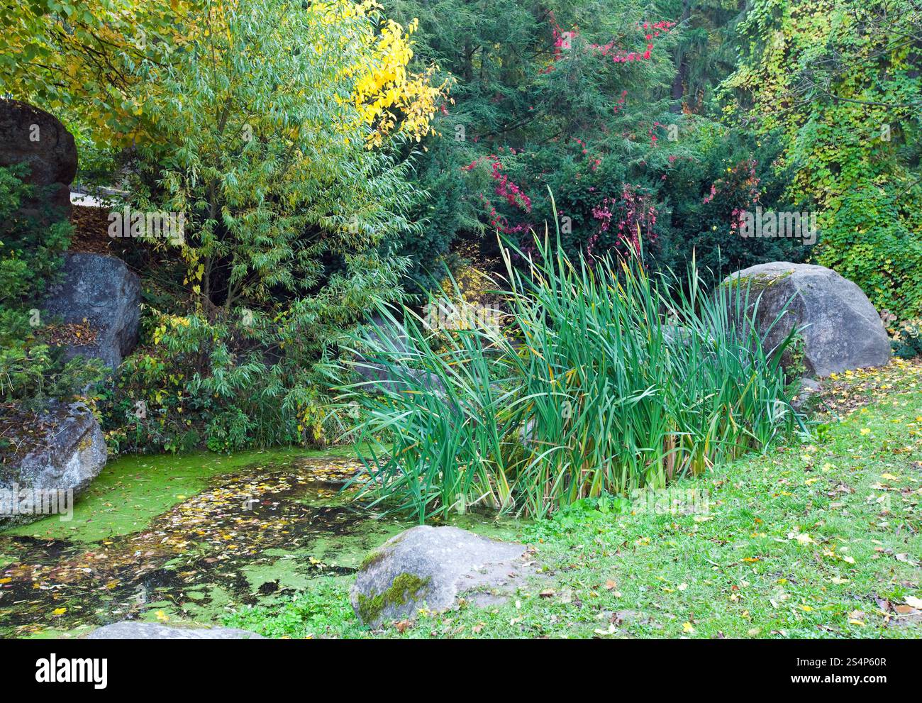 Feuillage vert-jaune , grandes pierres et petit étang à l'automne parc de la ville Banque D'Images