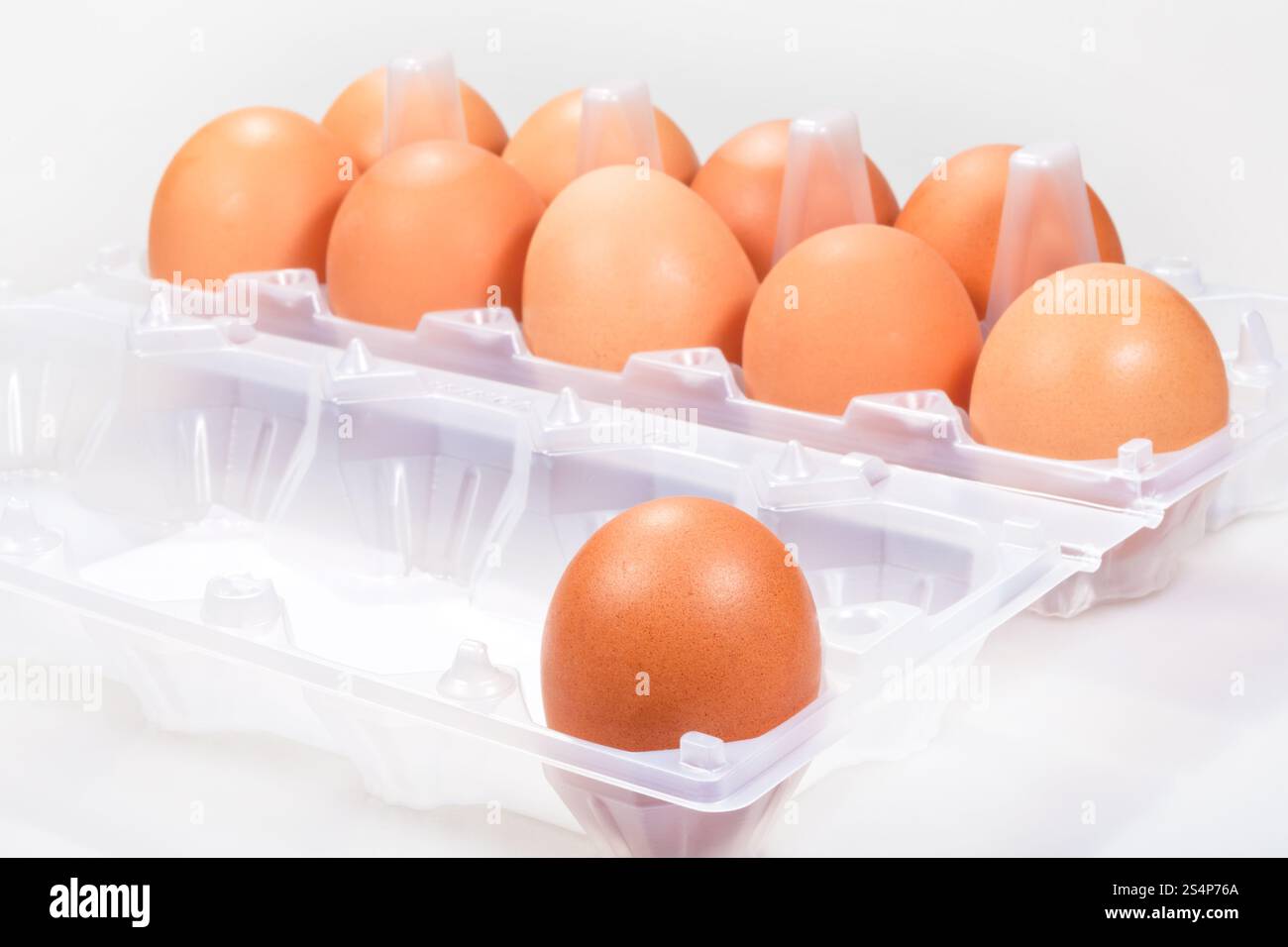 Un oeuf de poule contre plusieurs oeufs brun Banque D'Images