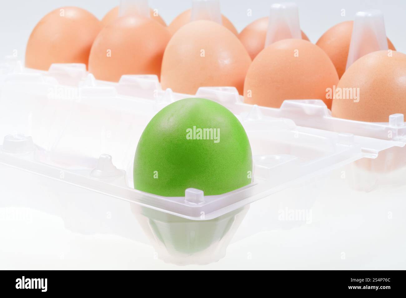 Un oeuf de poule verte contre plusieurs oeufs brun Banque D'Images