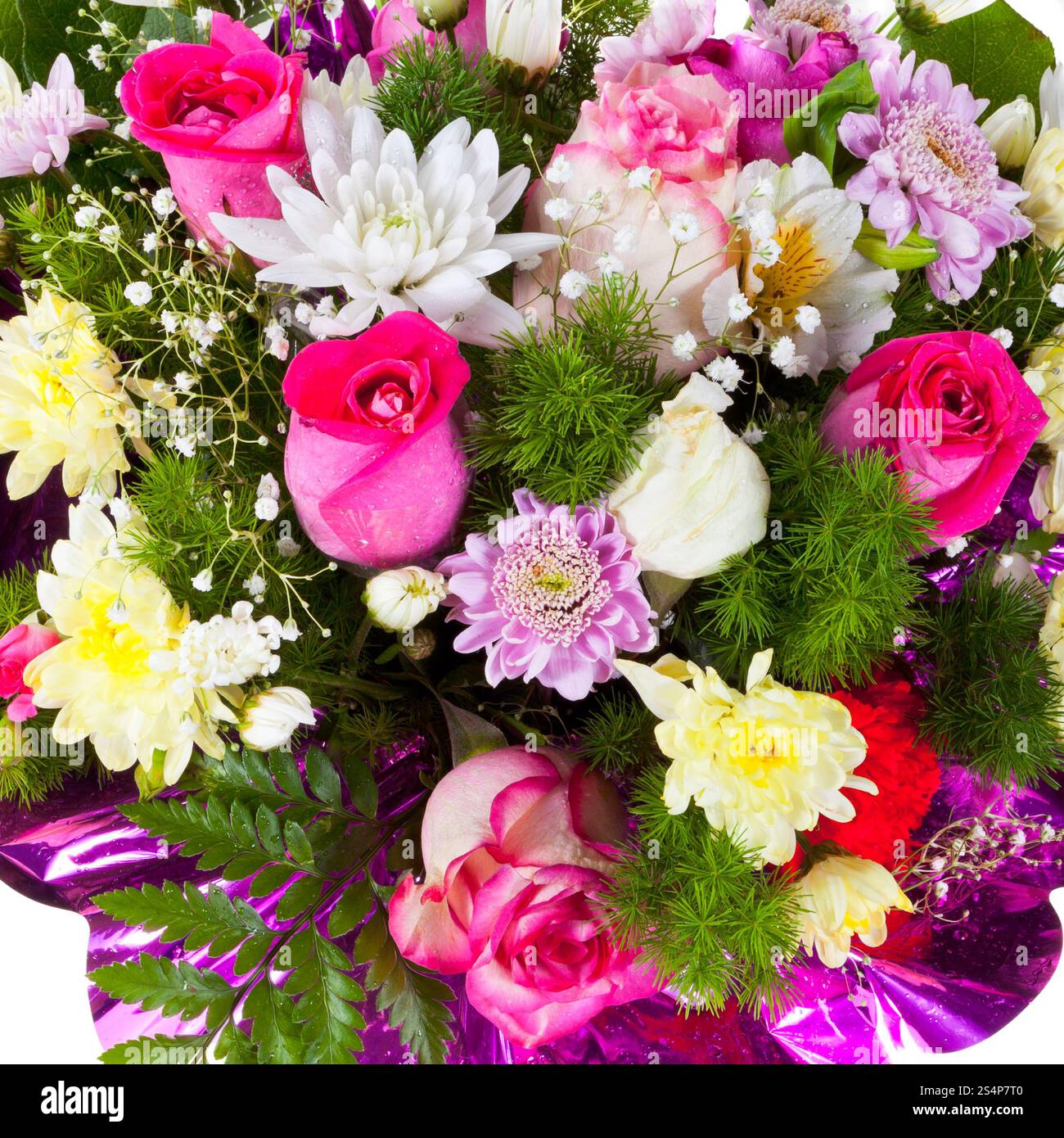 Chrysanths et thé roses en fleurs'' close up Banque D'Images