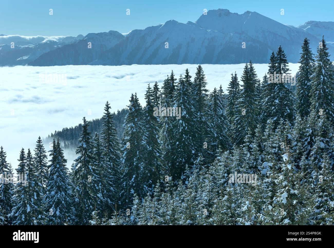 Paysage de montagne Hiver Matin de nuages dans la vallée ci-dessous (Hochkoenig région, Autriche) Banque D'Images