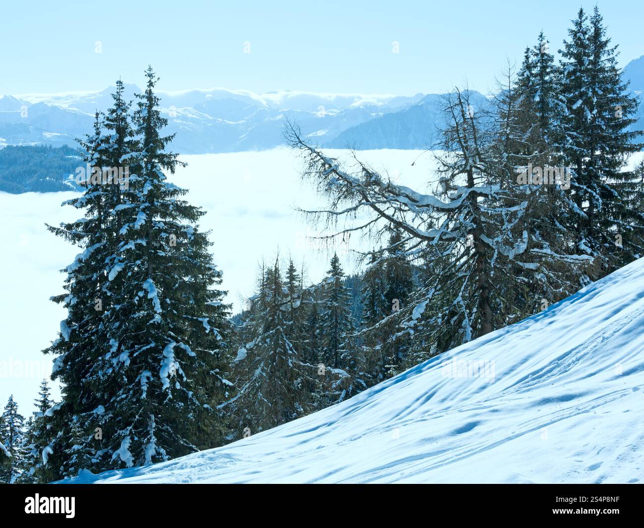 Paysage de montagne Hiver Matin de nuages dans la vallée ci-dessous (Hochkoenig région, Autriche) Banque D'Images