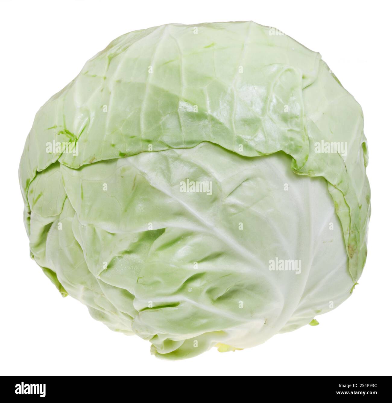 Pain de chou vert isolé sur fond blanc Banque D'Images