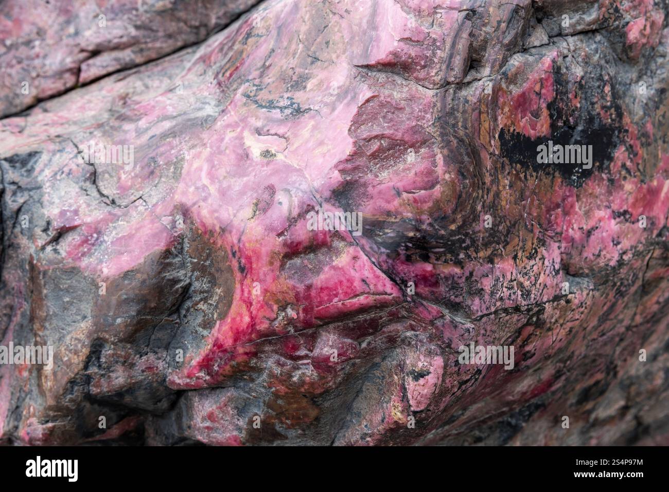 Pierre de rhodonite, spécimen non poli de minéral coloré. Texture de la photo d'arrière-plan Banque D'Images