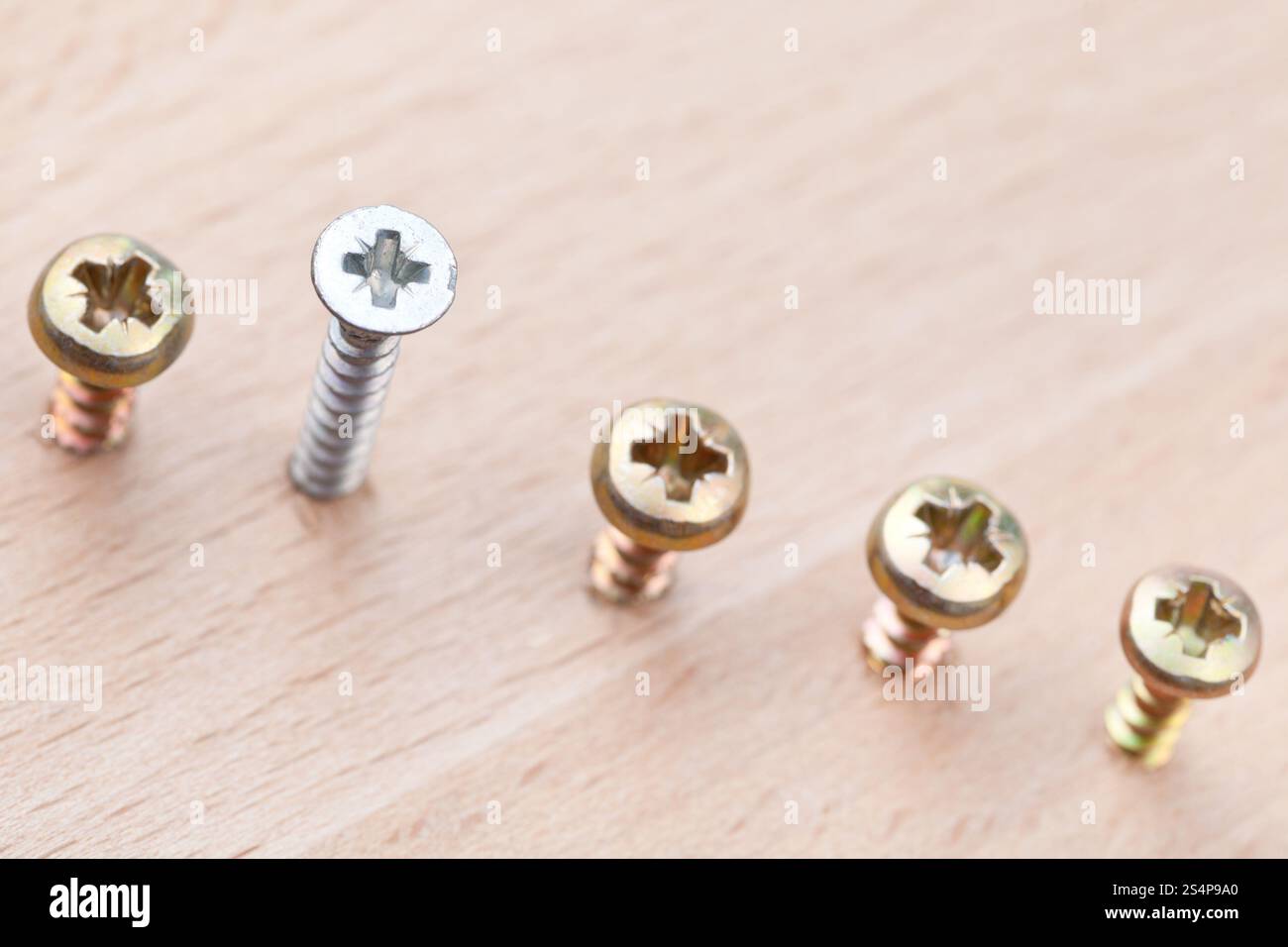 Gamme de vis enveloppé dans bois close up Banque D'Images