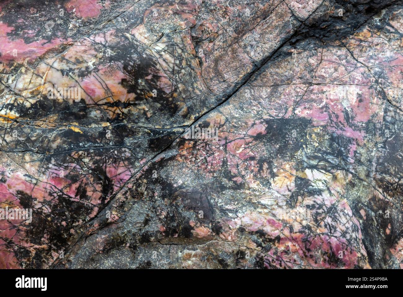 Pierre de rhodonite rugueuse, spécimen non poli de minéral coloré. Texture naturelle de la photo de fond Banque D'Images