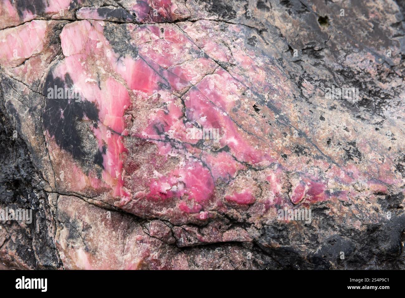 Rhodonite, spécimen de minéral coloré. Texture de la photo d'arrière-plan Banque D'Images