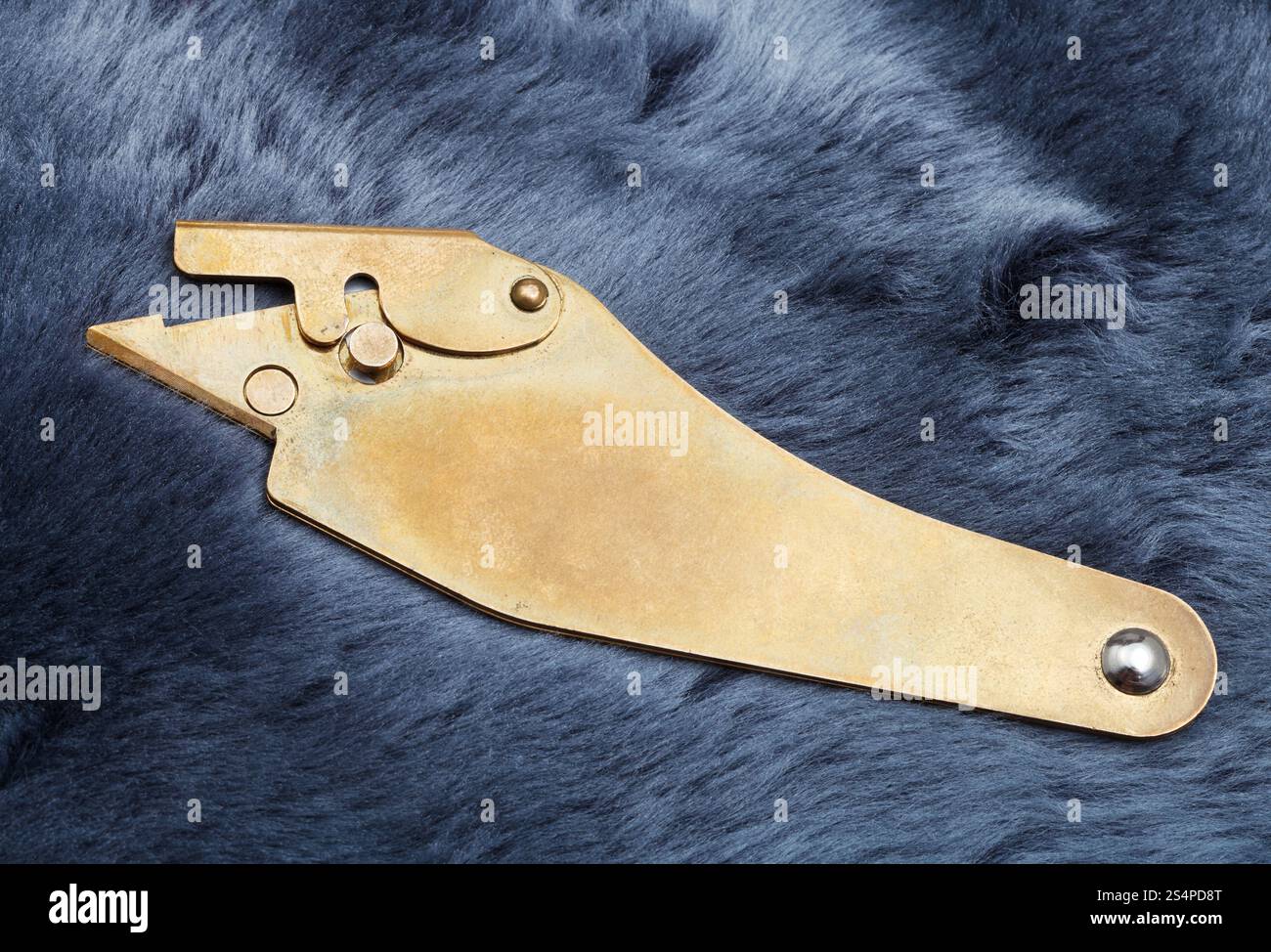 couteau fourrier sur peau de mouton peinte en bleu Banque D'Images