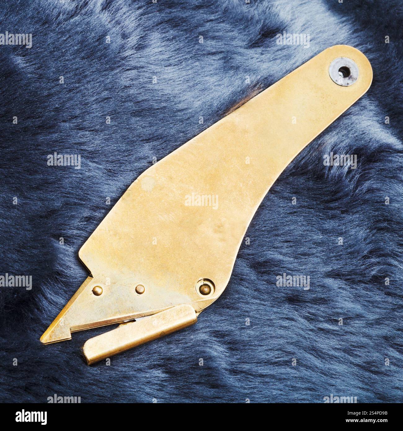 Couteau sur la fourrure de mouton peint bleu Banque D'Images