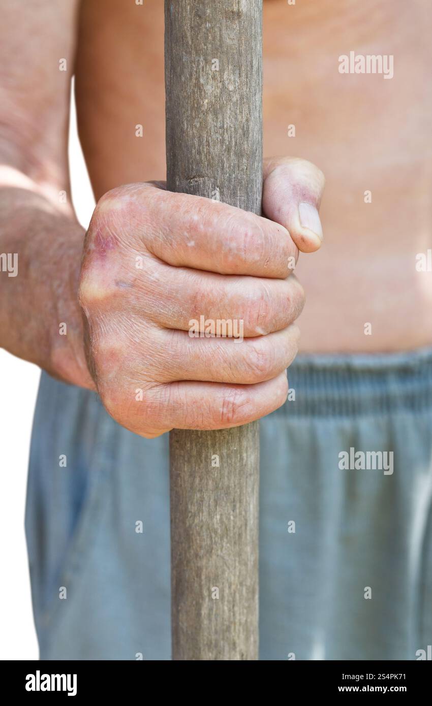 Poignée en bois vieux paysan est titulaire d'outil agricole isolé sur fond blanc Banque D'Images