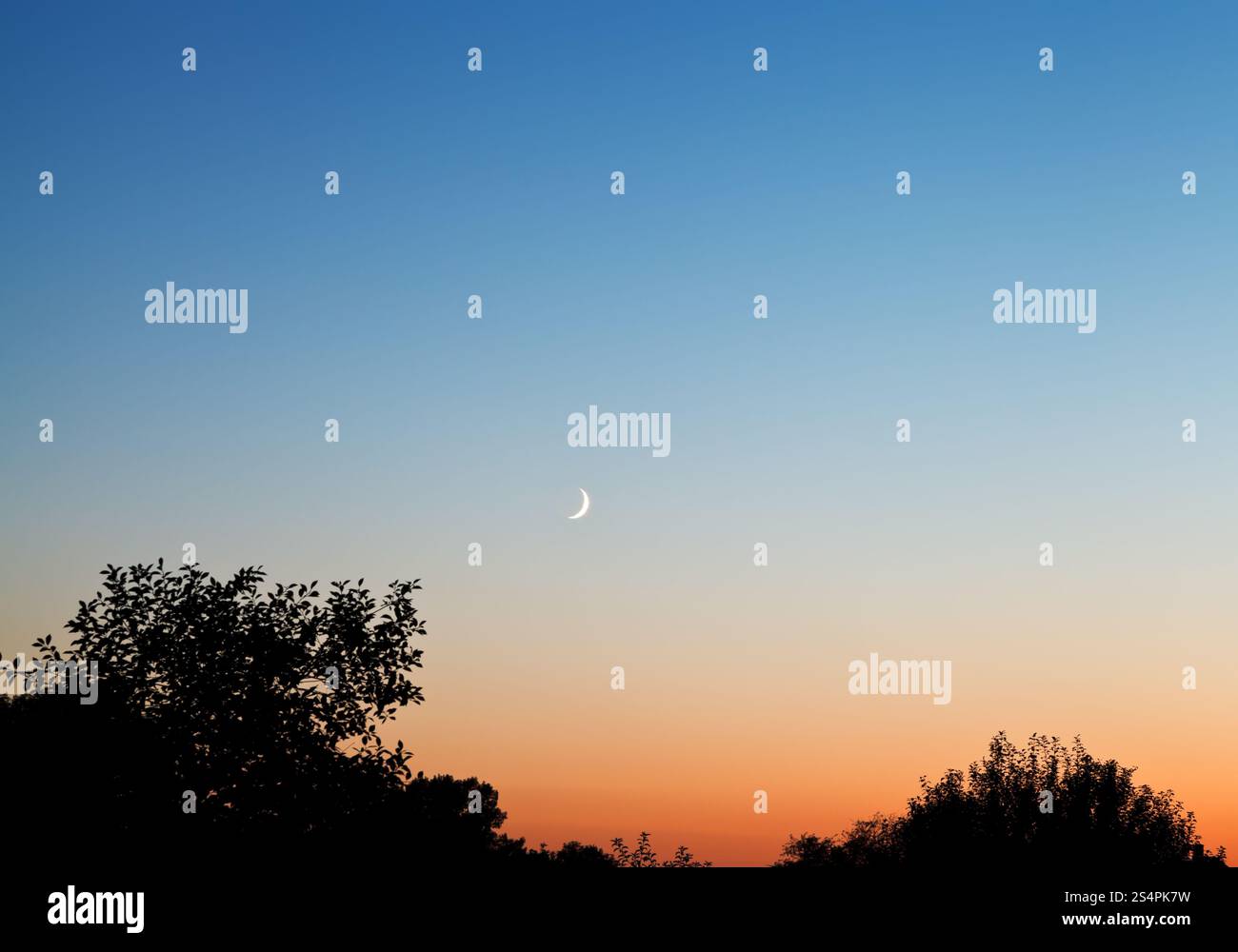 Nouvelle lune dans sombre ciel bleu au coucher du soleil en été Banque D'Images