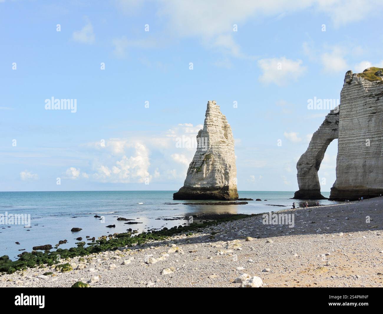 Vue sur les falaises naturelles sur la plage du canal anglais d'Eretrat cote dalbatre, France Banque D'Images